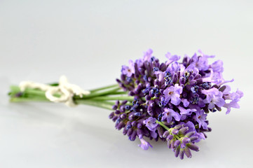 Bouquet of lavender flowers
