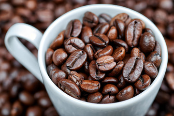 Roasted coffee beans in a white cup