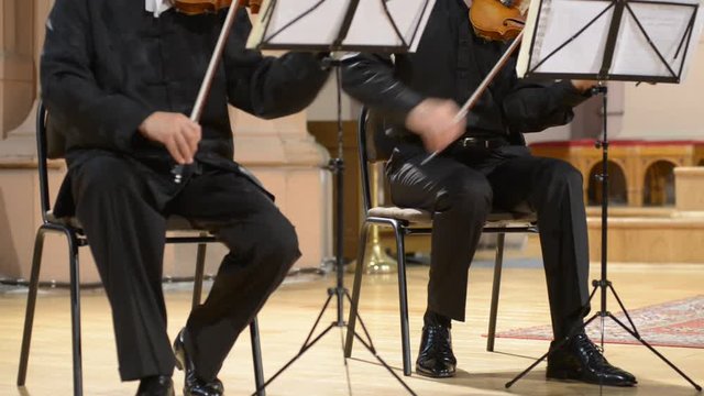Violinists played the violin, blurred defocused background