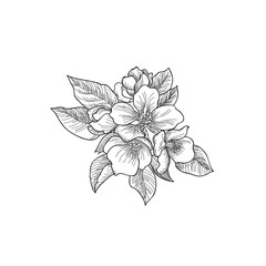 Floral bouquet. Flower rose background. Flourish greeting card