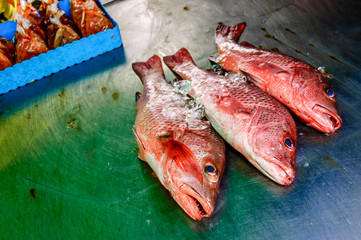 Fish stall display, southern Thailand