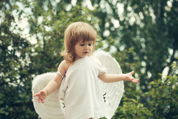 small boy in angel wings