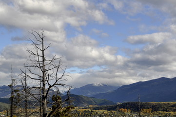 Fototapeta premium Natureza na Patagonia