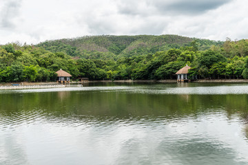 Fototapeta premium Garden with lake