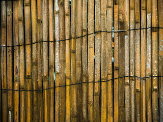 Dried bamboo fence