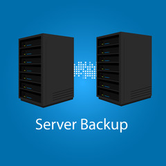 two server backup redundancy mirror for recovery and performance