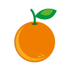 citrus fruit isolated icon design