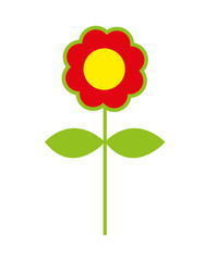 flower colorfull  isolated icon design