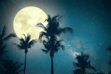 Beautiful fantasy palm tree tropical beach with Milky Way star in night skies, wonderful full moon...
