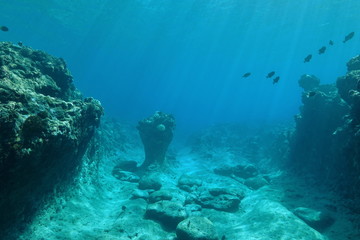 Underwater landscape on the ocean floor, coral reef sculpted by the swell, Pacific ocean, French Polynesia