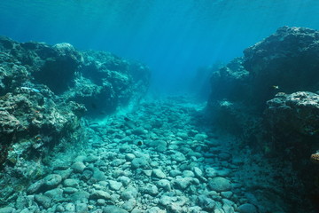 Underwater landscape, seabed carved by swell into the reef, Huahine island, Pacific ocean, French Polynesia