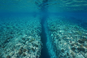 Fototapeta na wymiar Natural trench into the coral reef carved by wave swell, underwater landscape, Huahine island, Pacific ocean, French Polynesia