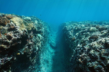 Underwater landscape, a natural trench into the reef slope due to wave swell at Huahine island, Pacific ocean, French Polynesia