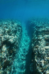 Fototapeta na wymiar Underwater landscape, a natural trench into the fore reef due to wave swell at Huahine island, Pacific ocean, French Polynesia