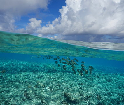 Pacific ocean seascape, above and below water surface, sky with cloud and seabed on the fore reef with a shoal of fish underwater, Huahine island, French Polynesia