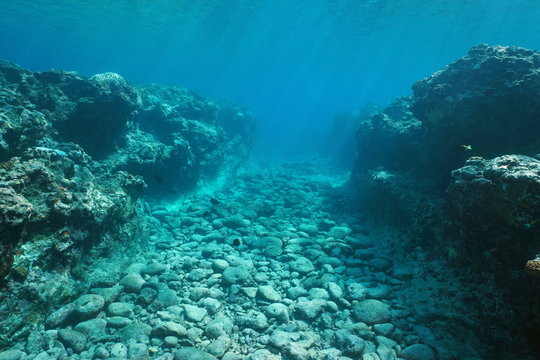 Underwater landscape, seabed carved by swell into the reef, Huahine island, Pacific ocean, French Polynesia