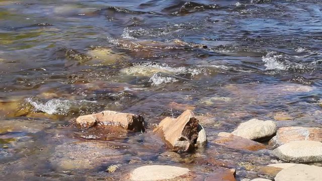 wave current of the river, driftwood, tree and grass