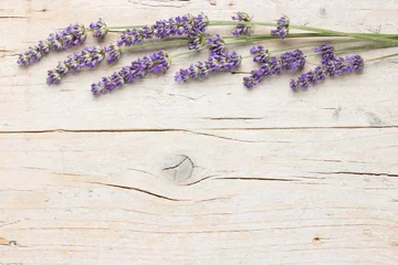 Crédence de cuisine en verre imprimé Lavande Fresh lavender flowers
