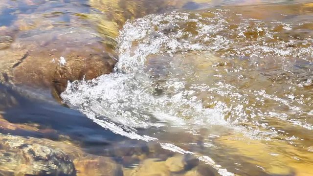 wave current of the river, driftwood, tree and grass