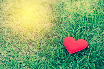 Valentine day background. Red heart on green grass.