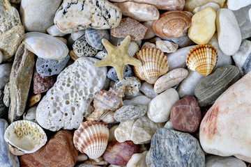 Sea Pebbles With Shells And Starfish