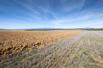 Ploughed and stubble fields in an agricultural landscape in Guadalajara Province, Spain
