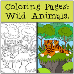 Coloring Pages: Wild Animals. Mother tiger with her little cute baby tiger.