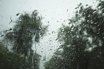 water drop of rain on a glass, blurred tree in background, selective focus