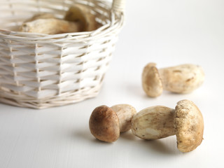 Boletus mushrooms on the table