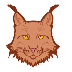 Lynx mascot logo. Head of lynx isolated vector illustration
