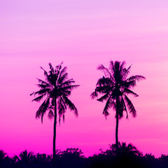 Fototapeta na wymiar Silhouette coconut tree. purple filter