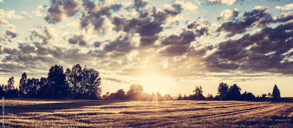 Wall mural Countryside panorama at sunset. Golden wheat field