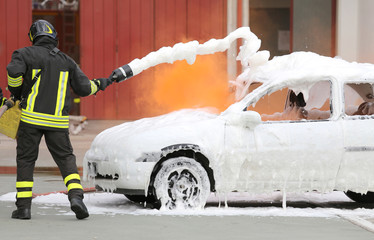 Naklejka premium firefighters during exercise to extinguish a fire in a car