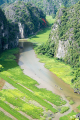 Rice paddies in Vietnam