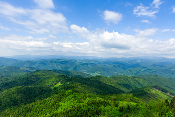 Beautiful green mountain landscape with trees