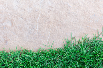 Wall Background on green grass