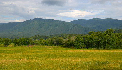 Fototapeta premium Landscape at Cades Cove in the Great Smoky Mountains