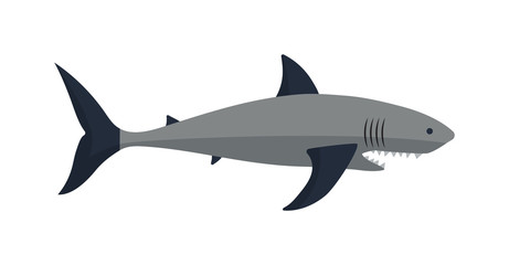 Obraz premium Cartoon shark vector illustration.