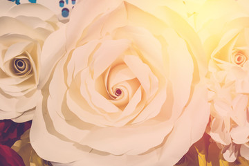 Bouquet of roses background