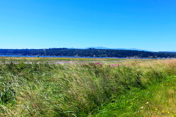 Mystery Bay, Marrowstone island. Olympic Peninsula. Washington State.