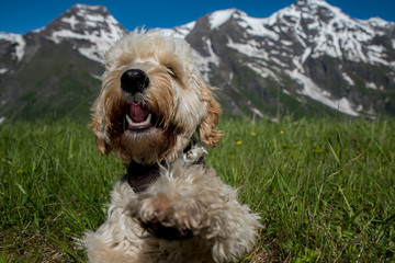 Bergmassiv Österreich