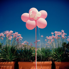 Celebration. Birthday. Balloons