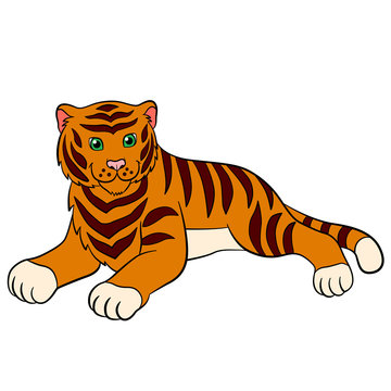 Cartoon wild animals for kids: Tiger. Cute tiger lays and smiles