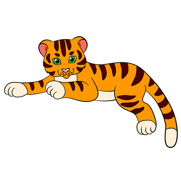 Cartoon wild animals for kids: Tiger. Little cute baby tiger smiles.
