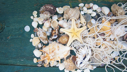 Fototapeta premium Starfish and seashell on the wooden background