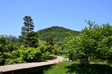 Path of Japanese garden, Kyoto Japan spring.
