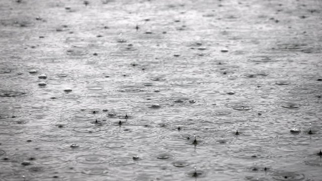 Unique nature scene of heavy rain on the water surface in slow motion. Closeup shot of natural background with meditative and hypnotic effect. Full HD footage 1920x1080
