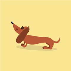 Cartoon dachshund dog. Vector illustration. It can be used for the websites and magazines 