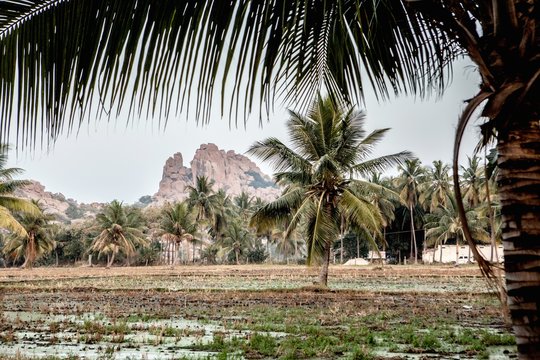 Fields in Hampi, Karnataka, India