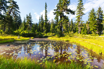 Obraz premium Mountains lake